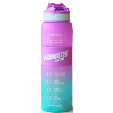 Gourde Winning Sport Mauve...