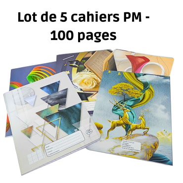 Lot de 5 cahiers PM - 100...