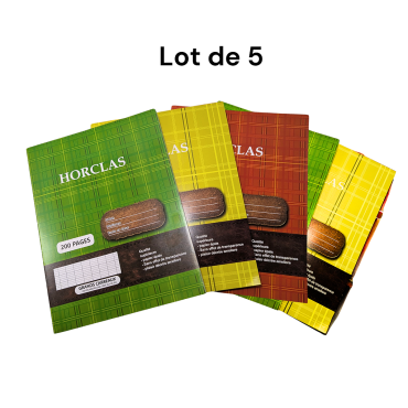 Lot de 5 cahiers petit...