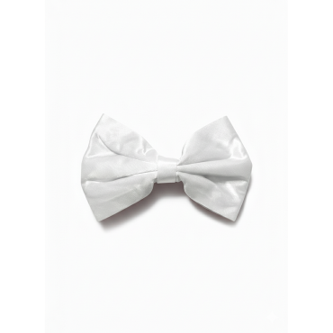 Barrette à nœud Lady bosse...