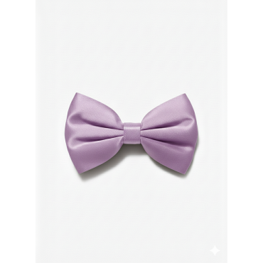 Barrette à nœud Lady boss...
