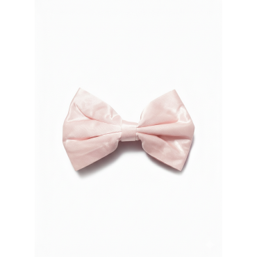 Barrette à nœud Lady boss...