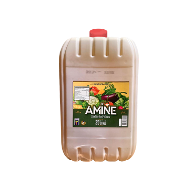 Huile - Bon appétit - Bidon...