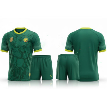 Maillot Sénégal vert +...