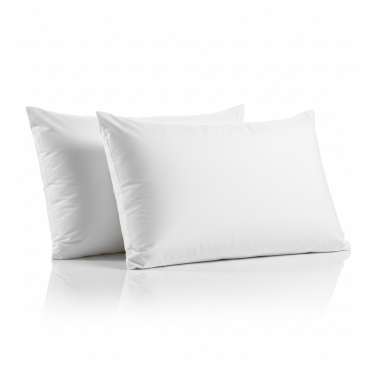 Lot de 2 Oreillers 45 x 70 cm