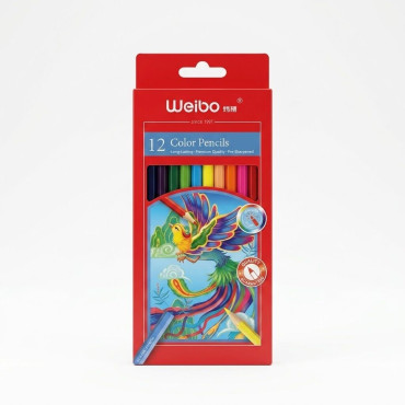 Paquet de 12 Crayons de...