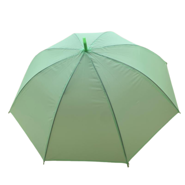 Parapluie vert