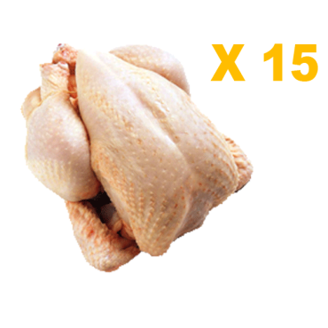 Pack 15 poulets de  1,2 À...