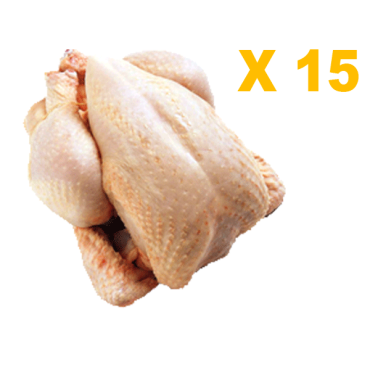 Pack 15 poulets de 1,3 à...