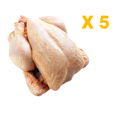 Pack de 5 Poulets de 1,3 à...